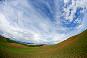 Rolling Hills of the Palouse, Washington (fisheye lens)