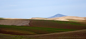 Steptoe Butte, Palouse, Washington