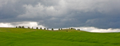 Palouse, Washington