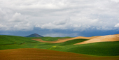 Steptoe Butte, Palouse, Washington