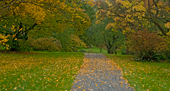 Washington Park Arboreteum, Seattle, Washington