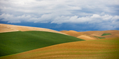 Palouse, Washington