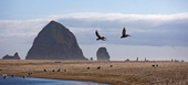 Haystack Rock, Cannon Beach, Oregon