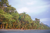 Corcovado, Costa Rica